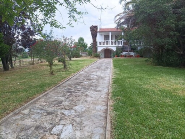 Imagen 1 de Casa de campo-Masía en Venta en Belvis De Monroy Cáceres