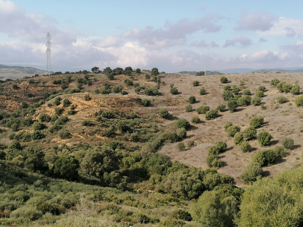 Imagen 3 de Suelo rústico en Venta en Casares Málaga