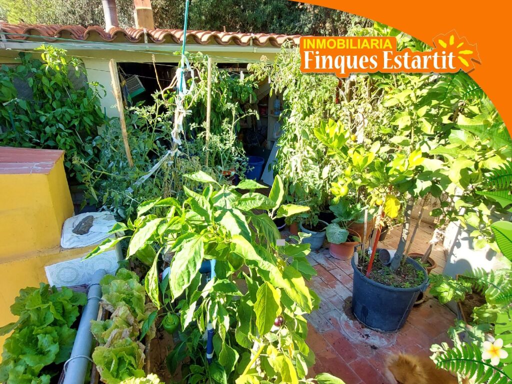 Imagen 1 de Casa-Chalet en Venta en Estartit Girona