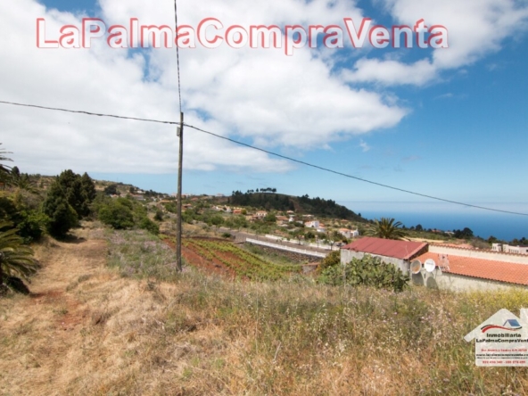 Imagen 1 de Suelo urbanizable en Venta en Puntagorda Santa Cruz de Tenerife