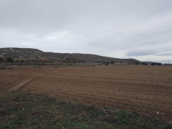 Imagen 1 de TERRENO RUSTICO EN CIEMPOZUELOS