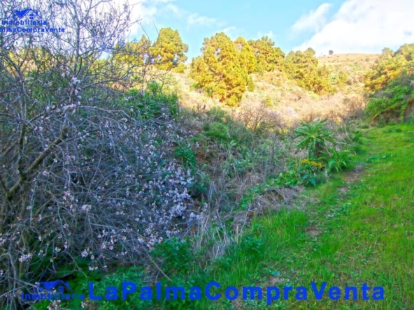 Imagen 1 de Suelo rústico en Venta en Aguatavar Santa Cruz de Tenerife