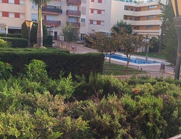 Imagen 1 de Piso en Venta en Torre Del Mar Málaga