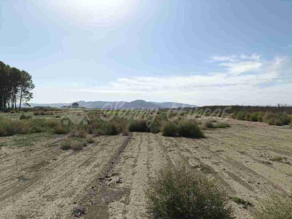 Imagen 1 de Suelo urbanizable en Venta en Villena Alicante