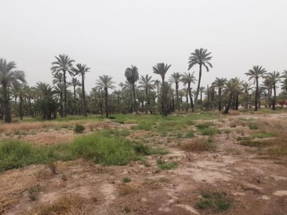 Imagen 1 de Terreno en Algoros