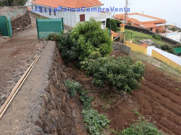 Imagen 1 de Suelo rústico en Venta en Puntallana Santa Cruz de Tenerife