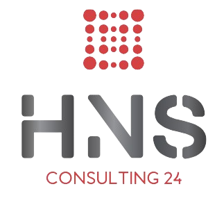 Logotipo de HNS CONSULTING 24