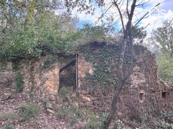 Imagen 1 de Masía Reconstruible en pleno Bosque y Naturaleza con Vistas Panorámicas.