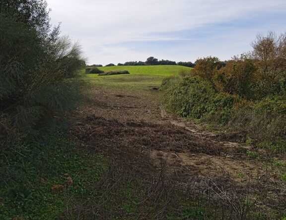 Imagen 1 de Suelo rústico en Venta en Arcos De La Frontera Cádiz