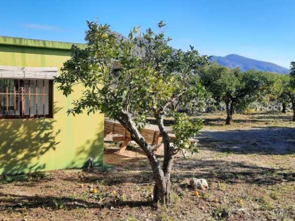 Imagen 1 de Suelo rústico en Venta en Alcalali Alicante