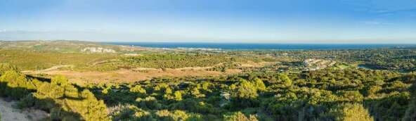 Imagen 1 de Parcela en Venta en Sotogrande Cádiz