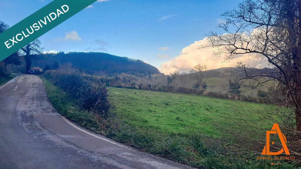 Imagen 1 de Un rincón de naturaleza a solo 10 minutos de Villaviciosa.