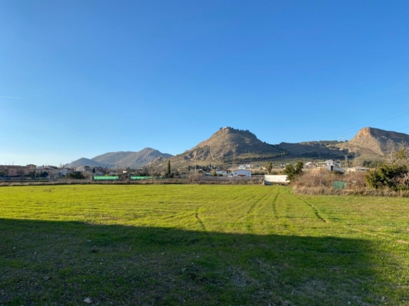 Imagen 1 de VENTA DE TERRENO RUSTICO URBANIZABLE  DEL TERMINO MUNICIPAL DE ATARFE EN EL CAMINO DE ALBOLOTE