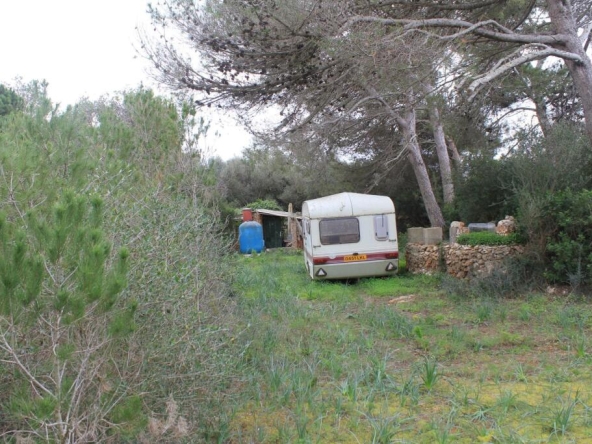 Imagen 1 de Bonito Huerto con pozo legal y fácil acceso