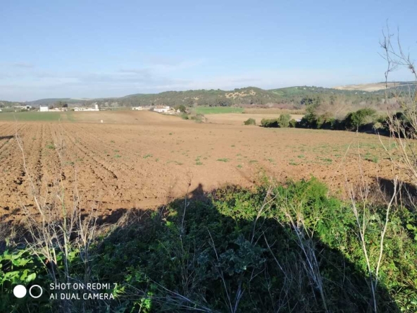 Imagen 1 de Suelo rústico en Venta en Arcos De La Frontera Cádiz