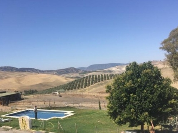 Imagen 1 de Casa de campo Masía en Venta en Setenil De Las Bodegas Cádiz