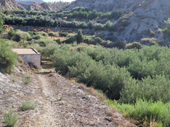 Imagen 1 de Suelo rústico en Venta en Canjayar Almería