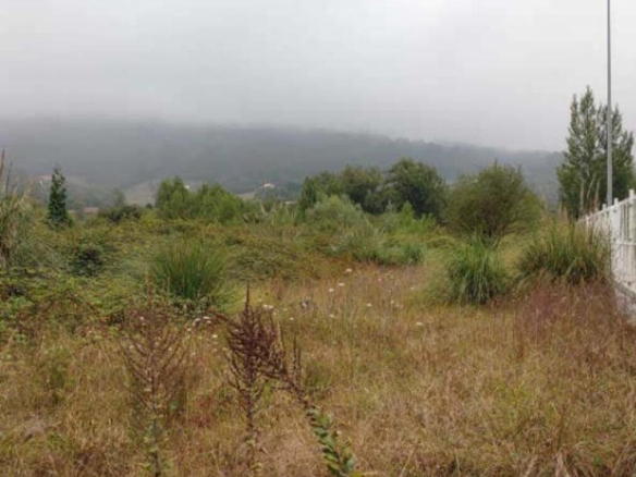 Imagen 3 de Terreno en venta en Oviedo de 1900 m2