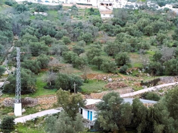 Imagen 1 de El terreno ideal para tu proyecto rural en la Serranía de Ronda