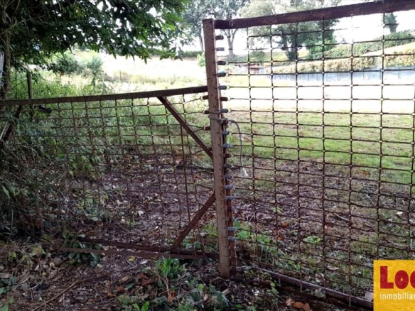 Imagen 3 de Lote de 5 suelos para inversión en Oviedo