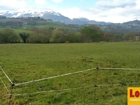 Imagen 3 de Venta de 9 suelos urbanizables y 2 urbanos en Oviedo