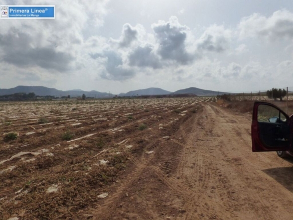 Imagen 3 de Venta de finca agrícola en Los Belones