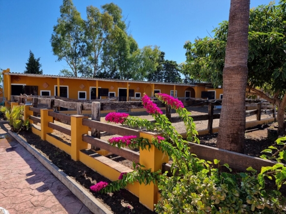 Imagen 2 de Casa de campo-Masía en Venta en Estepona Málaga