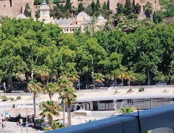 Imagen 3 de Piso en Venta en Málaga Málaga LA MALAGUETA