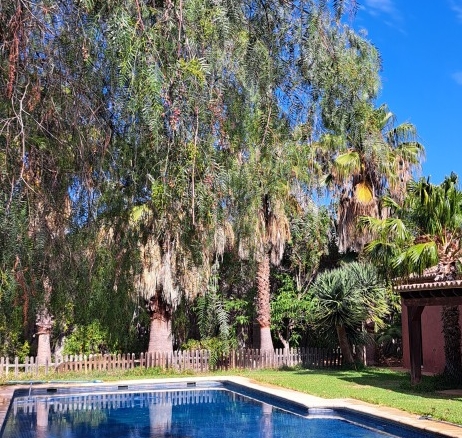 Imagen 2 de Casa-Chalet en Venta en Ondara Alicante