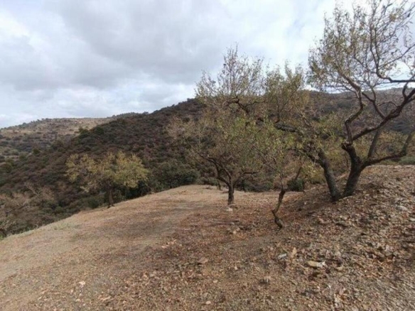 TODO UN PARAISO NATURAL