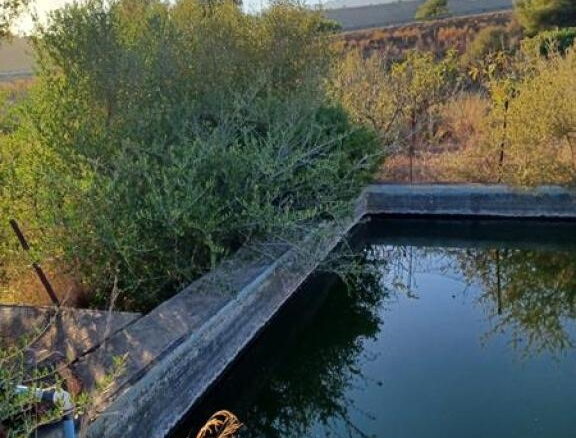 Imagen 2 de ESTUPENDA PARCELA AGRÍCOLA CON CASA MUY CERCA DEL PUEBLO DE ESTEPONA