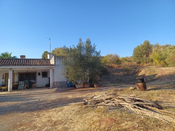 Imagen 3 de ESTUPENDA PARCELA AGRÍCOLA CON CASA MUY CERCA DEL PUEBLO DE ESTEPONA