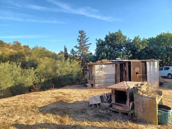 Imagen 4 de ESTUPENDA PARCELA AGRÍCOLA CON CASA MUY CERCA DEL PUEBLO DE ESTEPONA