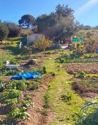 Imagen 2 de ¿ESTÁ BUSCANDO PARCELA EN LA COSTA DEL SOL? ¡TENEMOS LA SUYA!