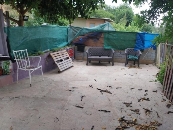 Imagen 4 de ¿ESTÁ BUSCANDO PARCELA EN LA COSTA DEL SOL? ¡TENEMOS LA SUYA!