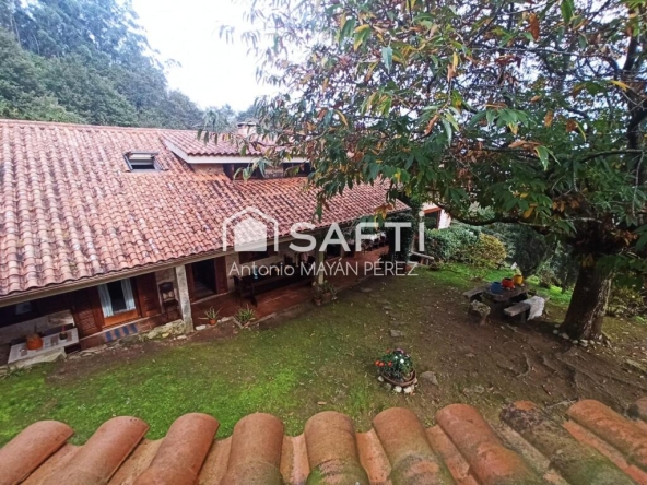 Imagen 4 de CASA RÚSTICA DE PIEDRA DE 1920 RESTAURADA EN MOS