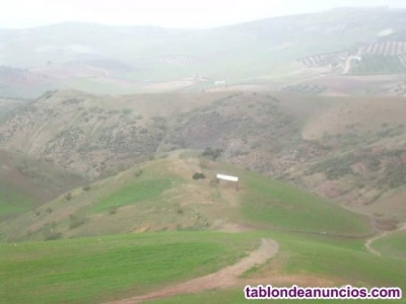 Imagen 2 de Casa de campo-Masía de Obra Nueva en Venta en Osuna Sevilla