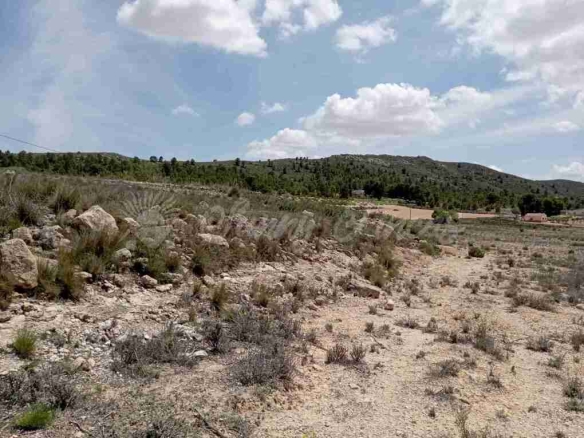 Imagen 2 de Suelo rústico en Venta en Yecla Murcia