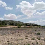 Imagen 1 de Suelo rústico en Venta en Yecla Murcia