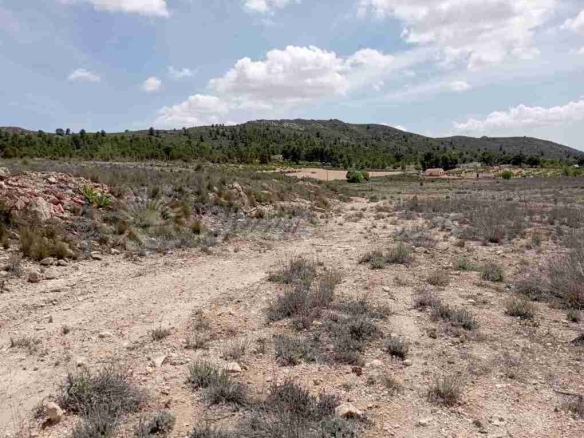 Imagen 3 de Suelo rústico en Venta en Yecla Murcia