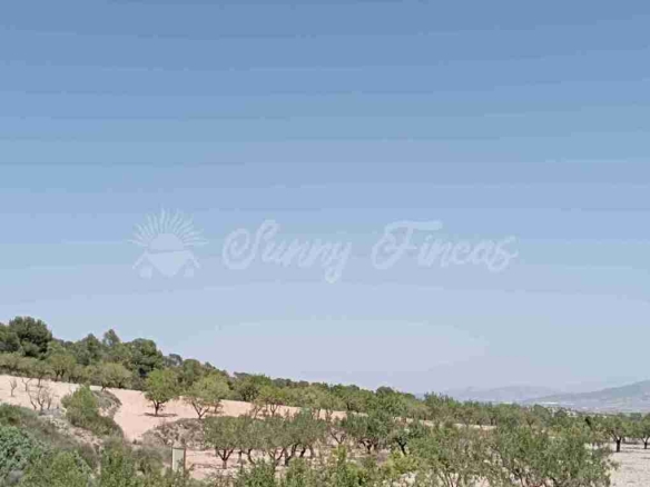 Imagen 1 de Suelo rústico en Venta en Jumilla Murcia - El Club del Propietario Imagen 1 de Suelo rústico en Venta en Jumilla Murcia