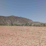 Imagen 1 de Suelo rústico en Venta en Yecla Murcia - El Club del Propietario Imagen 1 de Suelo rústico en Venta en Yecla Murcia