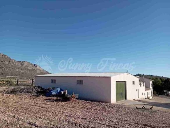 Imagen 3 de Casa de campo-Masía en Venta en Yecla Murcia