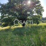 Finca de 5230 metros cuadrados, 450 edificables. por 44500€