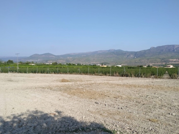 Imagen 3 de Parcela en Venta en Moratalla Murcia