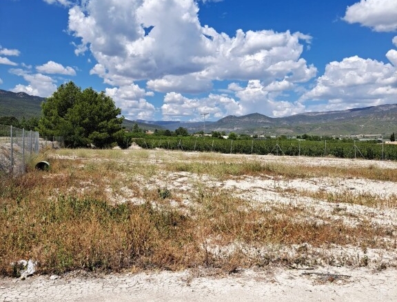 Imagen 4 de Parcela en Venta en Moratalla Murcia