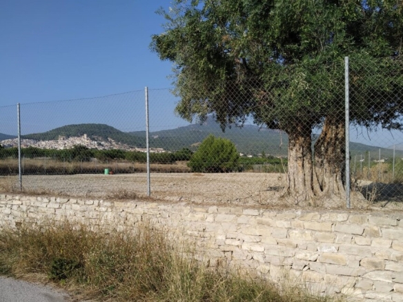 Imagen 1 de Parcela en Venta en Moratalla Murcia