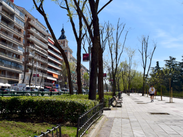Imagen 3 de Piso en Venta en Madrid Madrid ARGüELLES