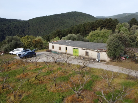Imagen 3 de Suelo rústico en Venta en Arenas De San Pedro Ávila