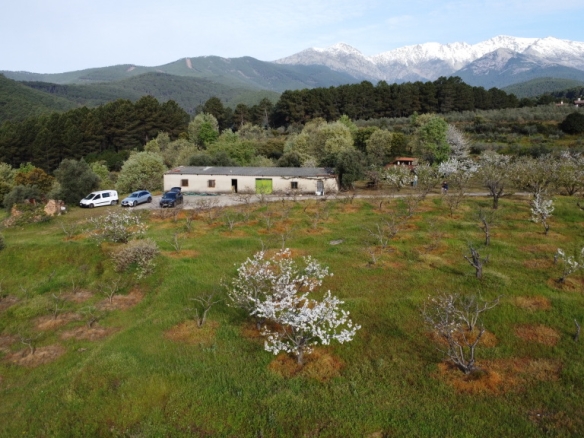 Imagen 1 de Suelo rústico en Venta en Arenas De San Pedro Ávila